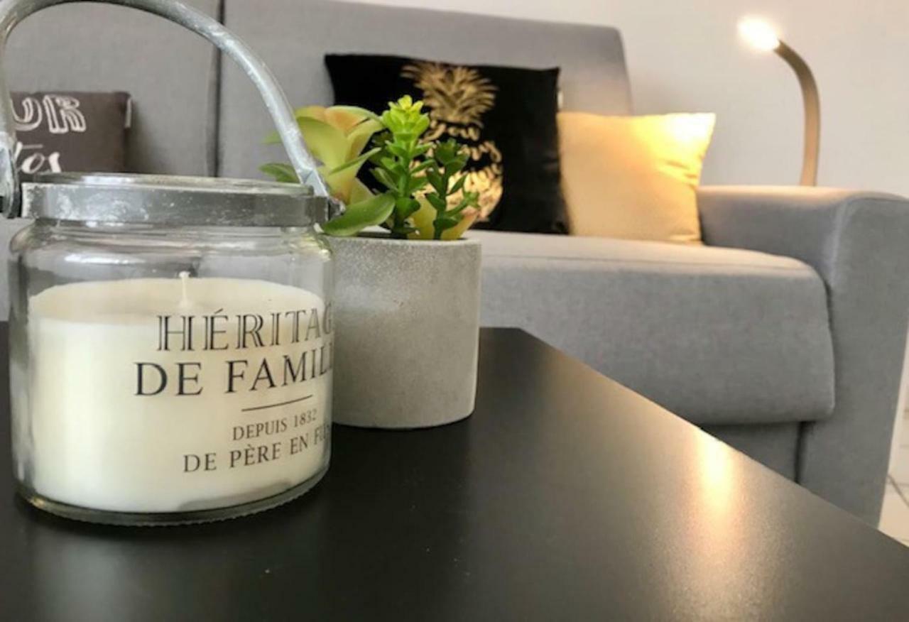Unique: Studio+terrasse Coeur De Et Plages Appartement